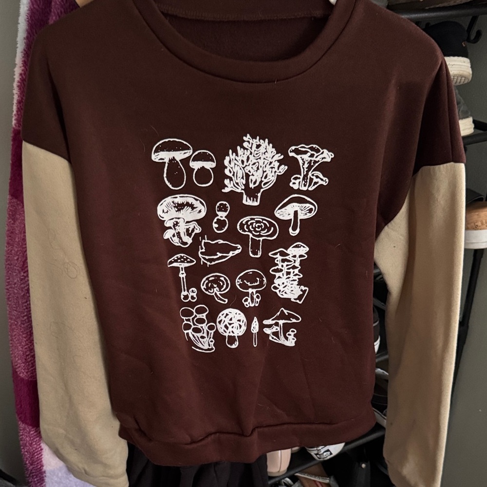 Brown and Tan Graphic Women Sweater